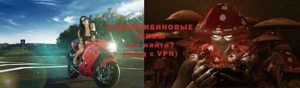 а пвп мука Армянск