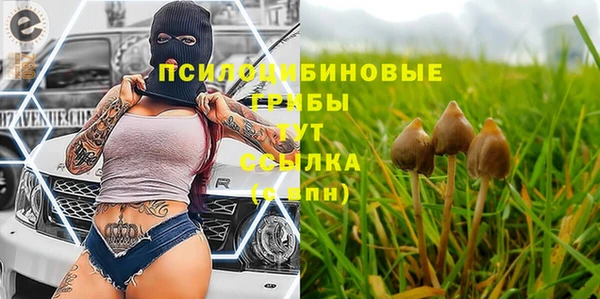 а пвп мука Армянск