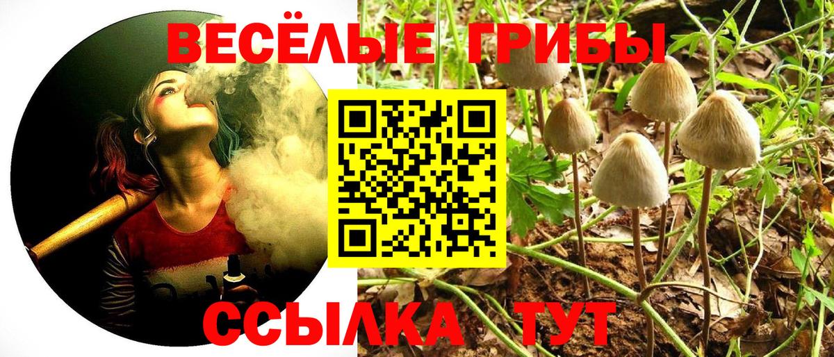 Галлюциногенные грибы прущие грибы Батайск