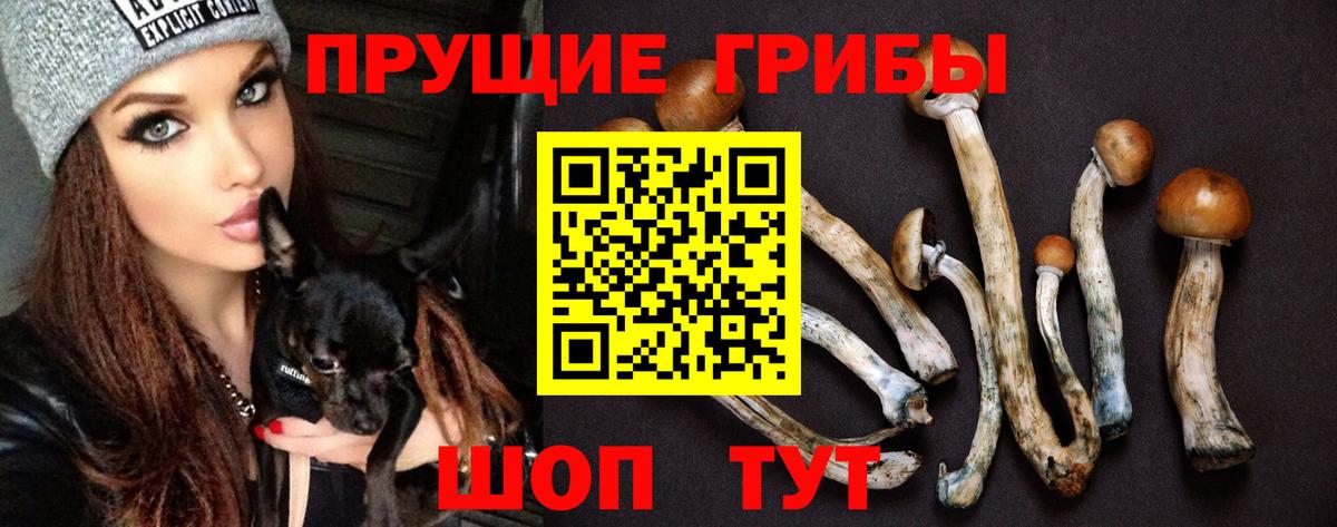Батайск  Галлюциногенные грибы ЛСД  Вход с VPN 